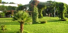 Villa La Pagodina Camaldoli.jpg
