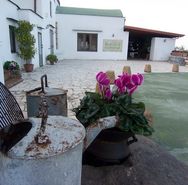 Villa Silvia   Monte di Procida