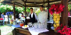 cocktail_edited-1.jpg